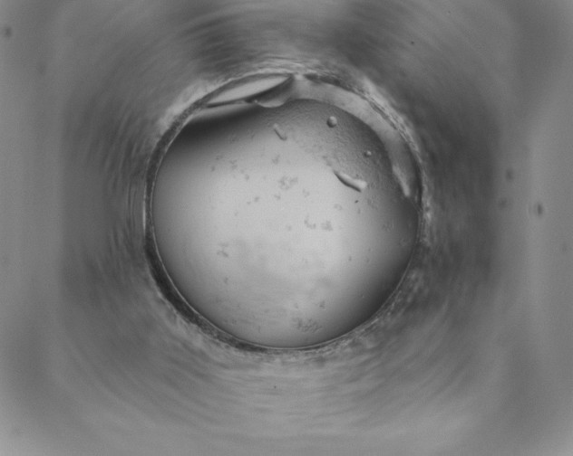 X0000088650011200706081649