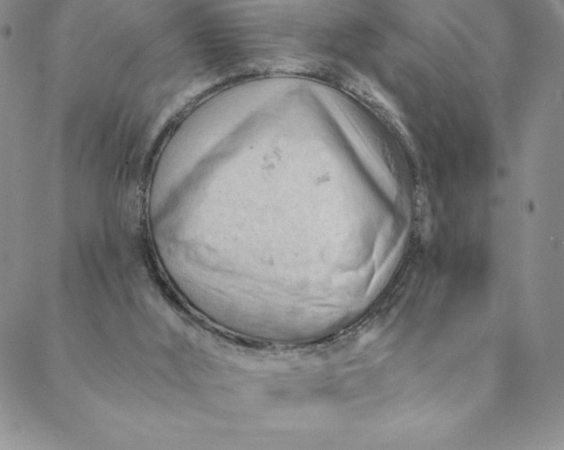 X0000088650012200706081649