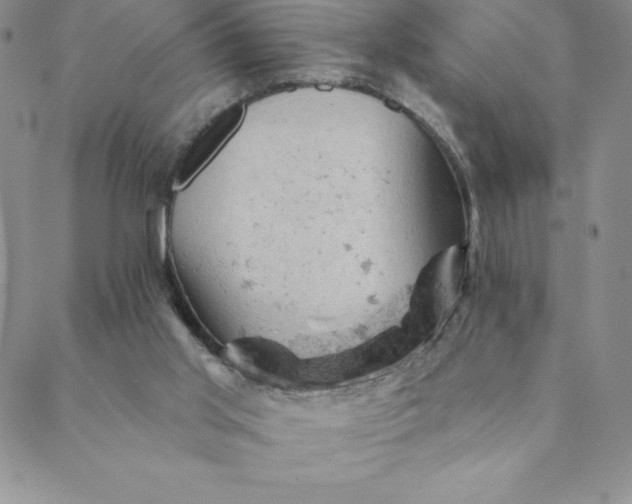 X0000088650013200706081649