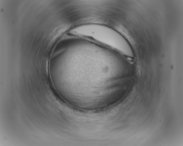 X0000088650014200706081649