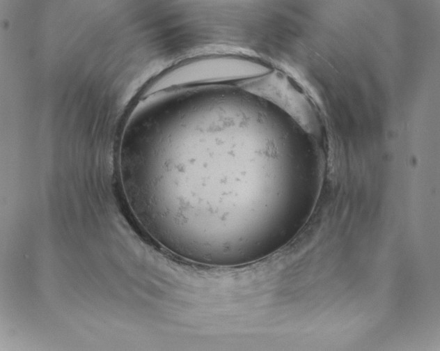 X0000088650015200706081649