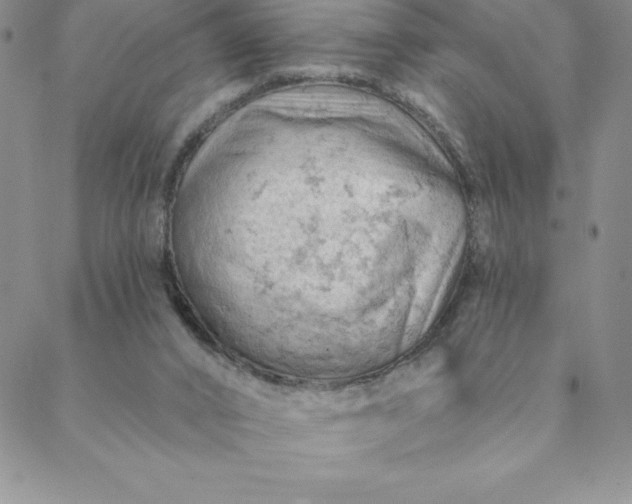 X0000088650016200706081649