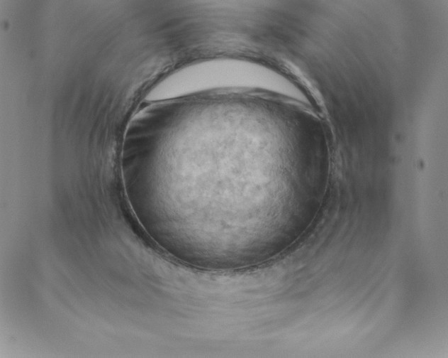 X0000088650018200706081649