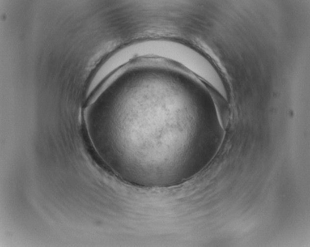 X0000088650019200706081649