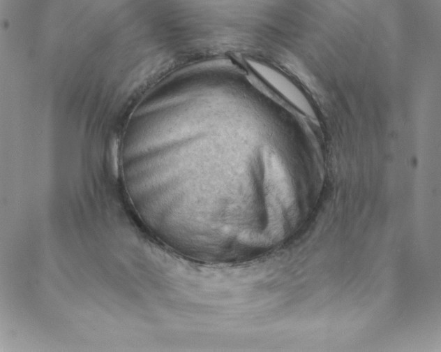 X0000088650022200706081649