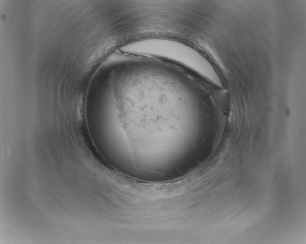 X0000088650023200706081649