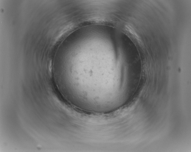 X0000088650024200706081649