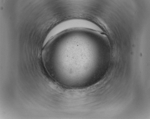 X0000088650025200706081649