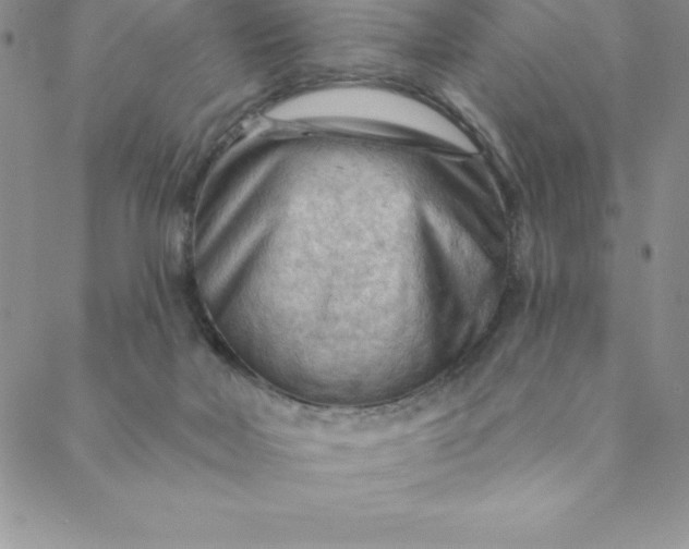 X0000088650026200706081649