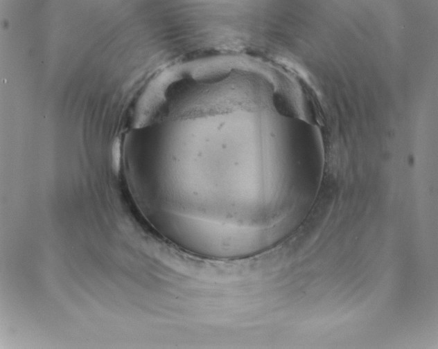 X0000088650027200706081649