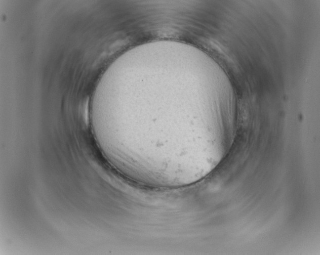 X0000088650028200706081649