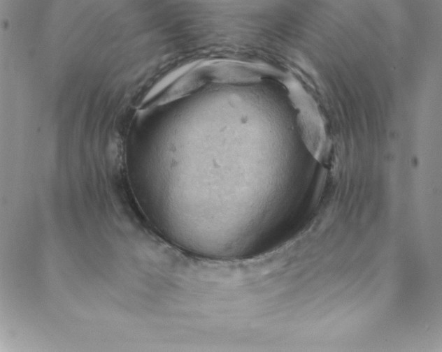 X0000088650029200706081649