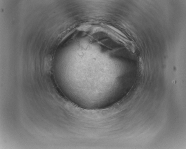 X0000088650030200706081649