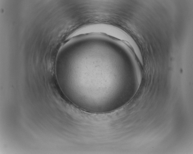 X0000088650031200706081649