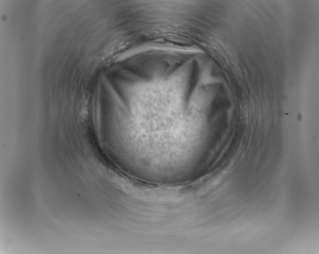 X0000088650032200706081649