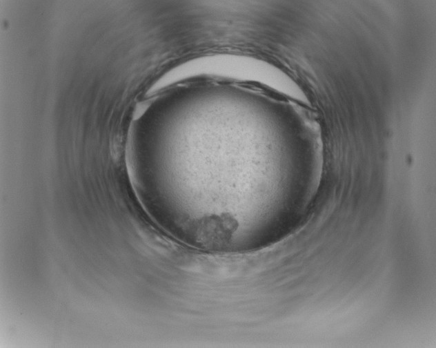 X0000088650033200706081649