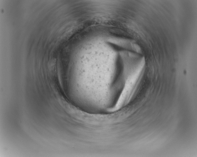 X0000088650034200706081649