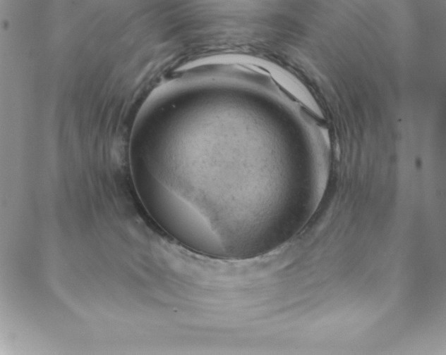 X0000088650035200706081649