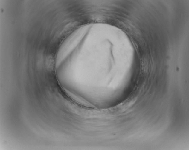 X0000088650036200706081649