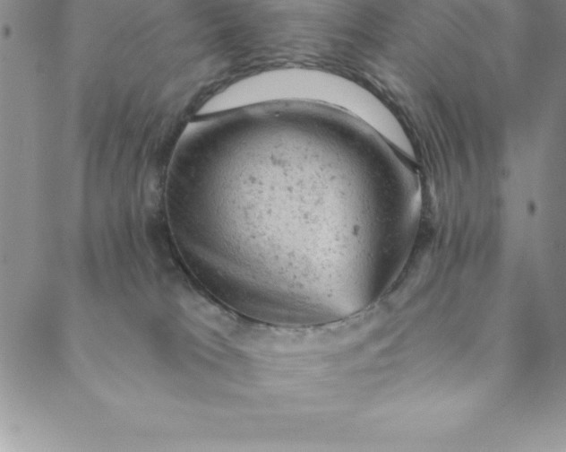 X0000088650037200706081649