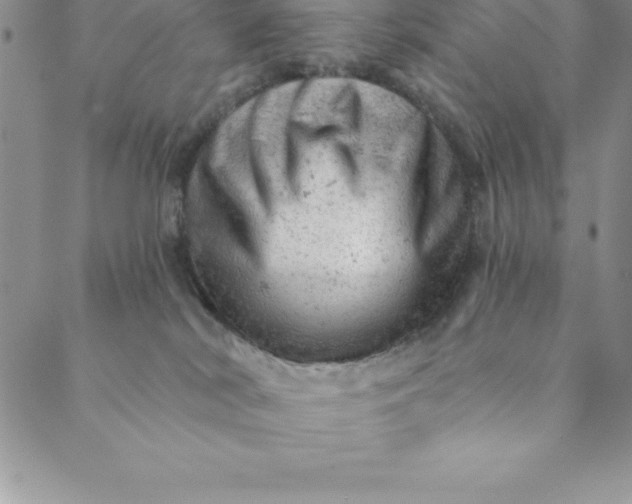 X0000088650038200706081648