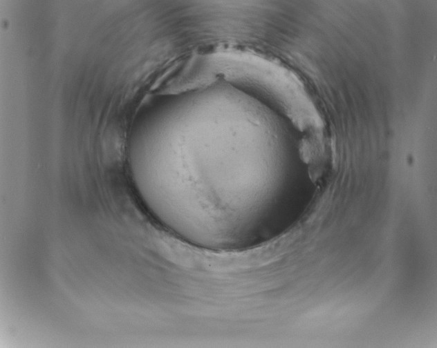 X0000088650039200706081648