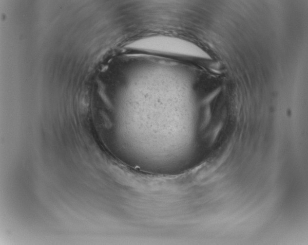 X0000088650040200706081648