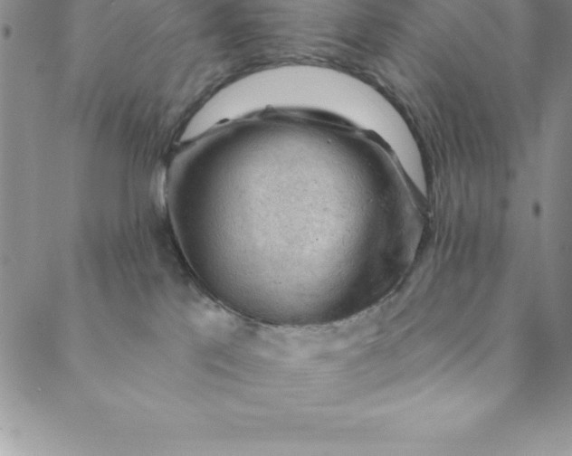 X0000088650041200706081648