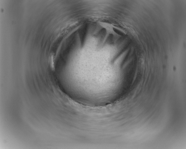 X0000088650042200706081648