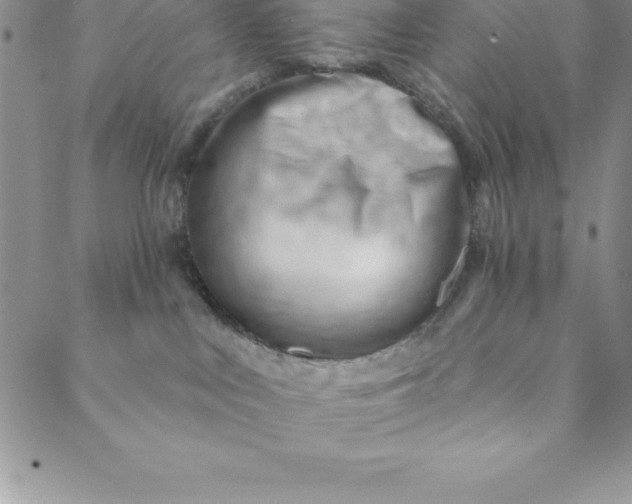 X0000088650043200706081648