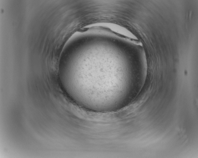 X0000088650044200706081648