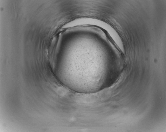 X0000088650045200706081648