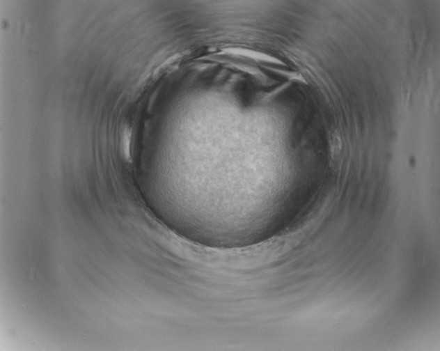 X0000088650046200706081648