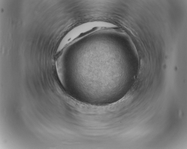 X0000088650048200706081648