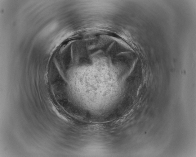 X0000088650050200706081648