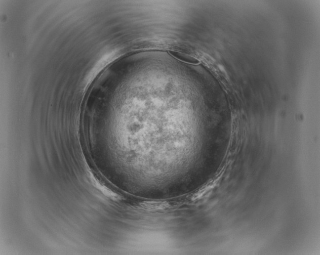 X0000088650051200706081648