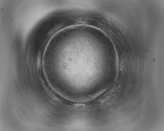 X0000088650052200706081648