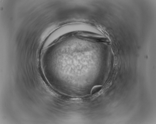 X0000088650053200706081648