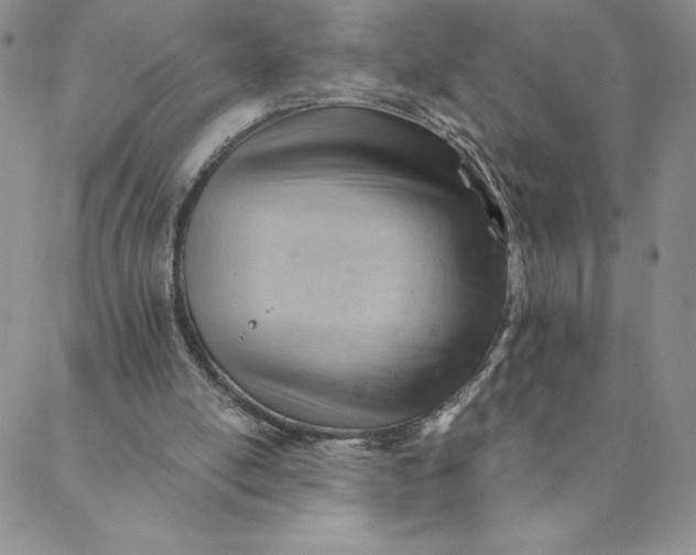 X0000088650054200706081648