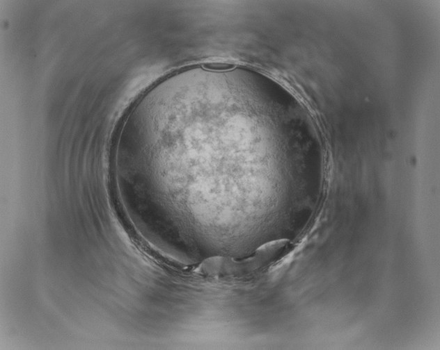 X0000088650055200706081648