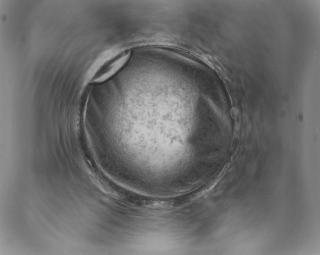 X0000088650056200706081648