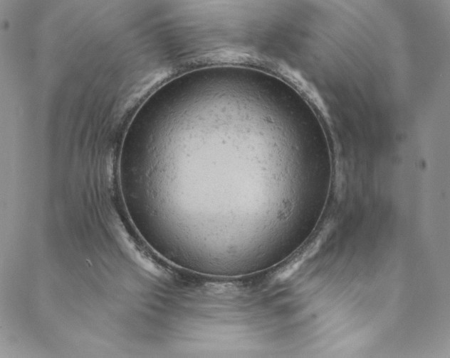 X0000088650057200706081648