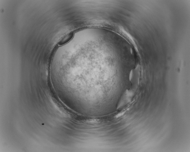 X0000088650059200706081648