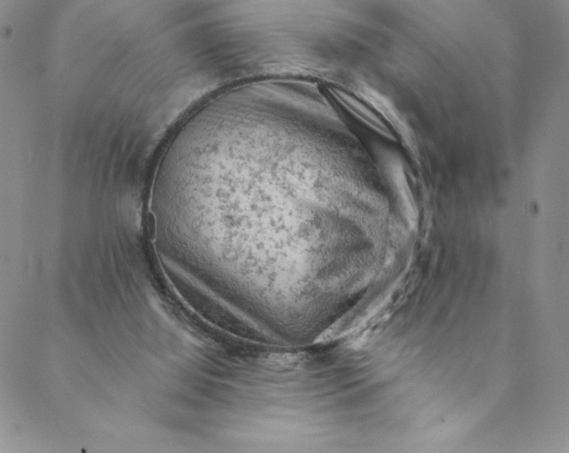 X0000088650060200706081648