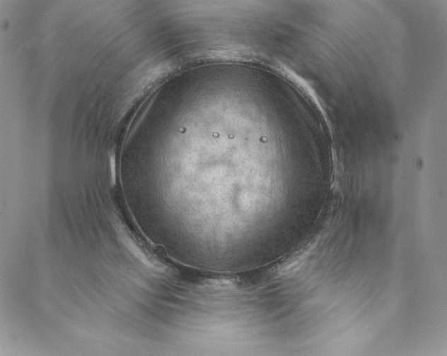 X0000088650061200706081648