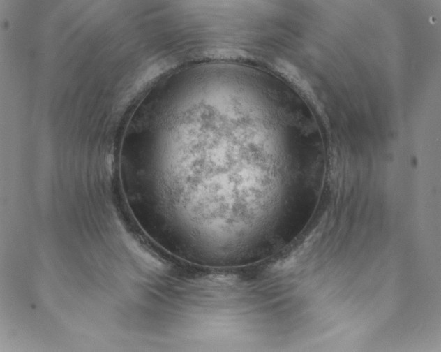 X0000088650063200706081648