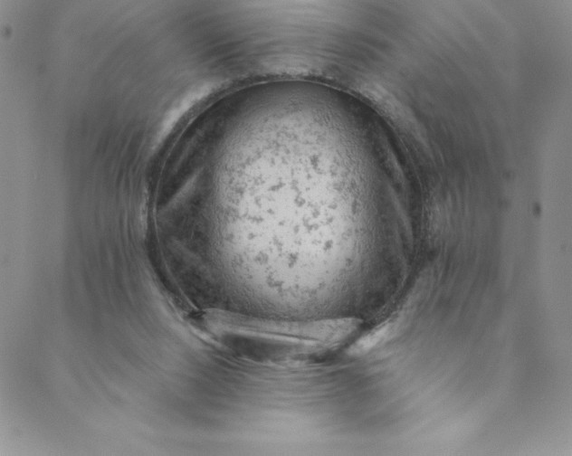 X0000088650064200706081648