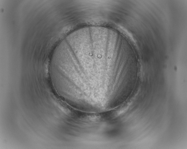 X0000088650065200706081648