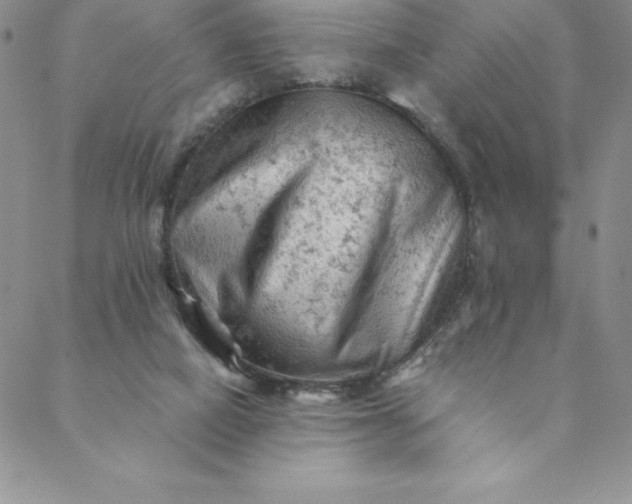 X0000088650066200706081648