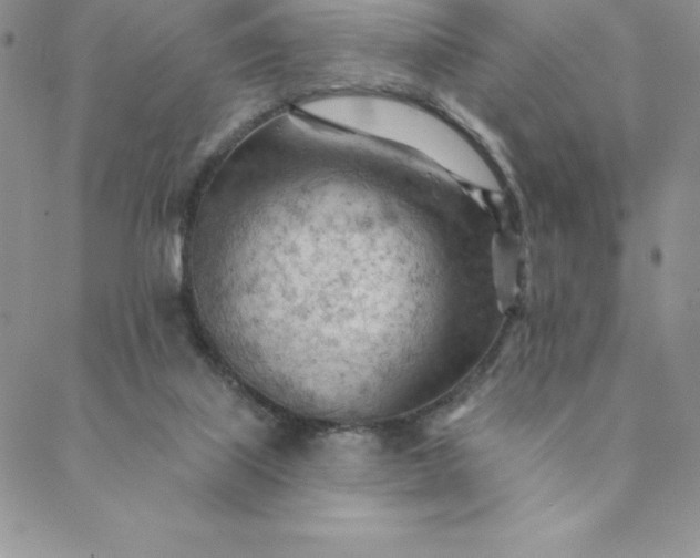 X0000088650067200706081648